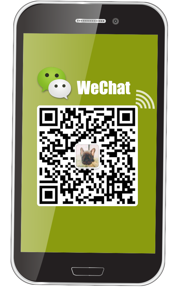the qr code